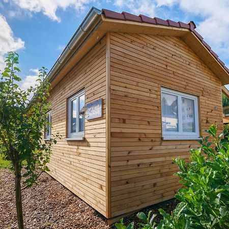 Tiny-Ferienhaeusle Casa Wendy Villa Loßburg Екстериор снимка