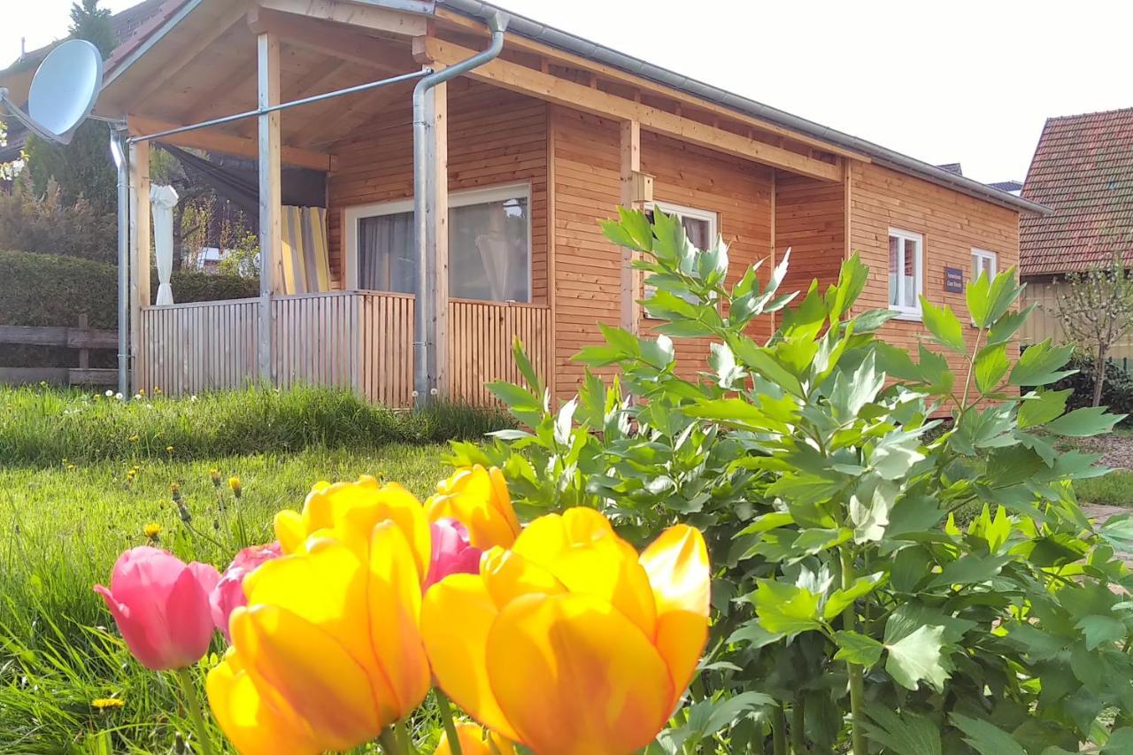 Tiny-Ferienhaeusle Casa Wendy Villa Loßburg Екстериор снимка